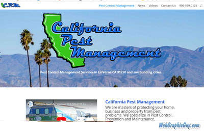 Custom Pest service website design