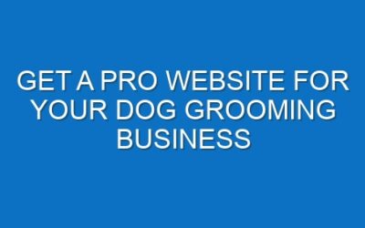 Get a Pro Website for Your Dog Grooming Business