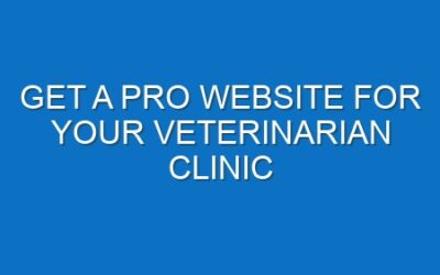 Get a Pro Website for Your Veterinarian Clinic