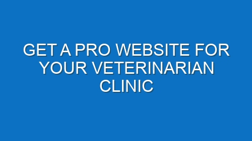 Get a Pro Website for Your Veterinarian Clinic